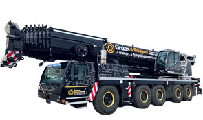 LIEBHERR LTM1230 230 TONELADAS