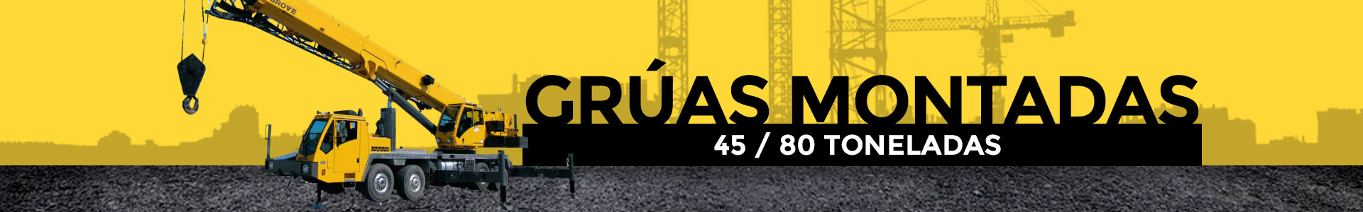 Gruas montadas en renta