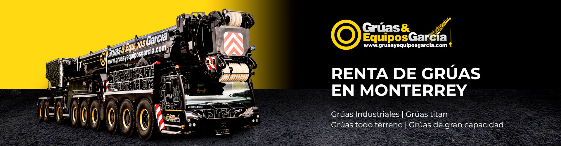 gruas industriales monterrey